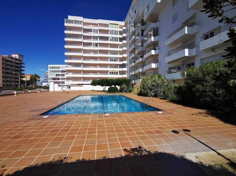 Spacieux Rose Front Et Piscine Roses