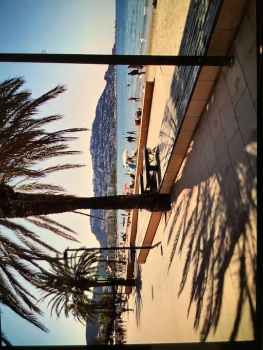Spacieux Rose Front Et Piscine Apartament *